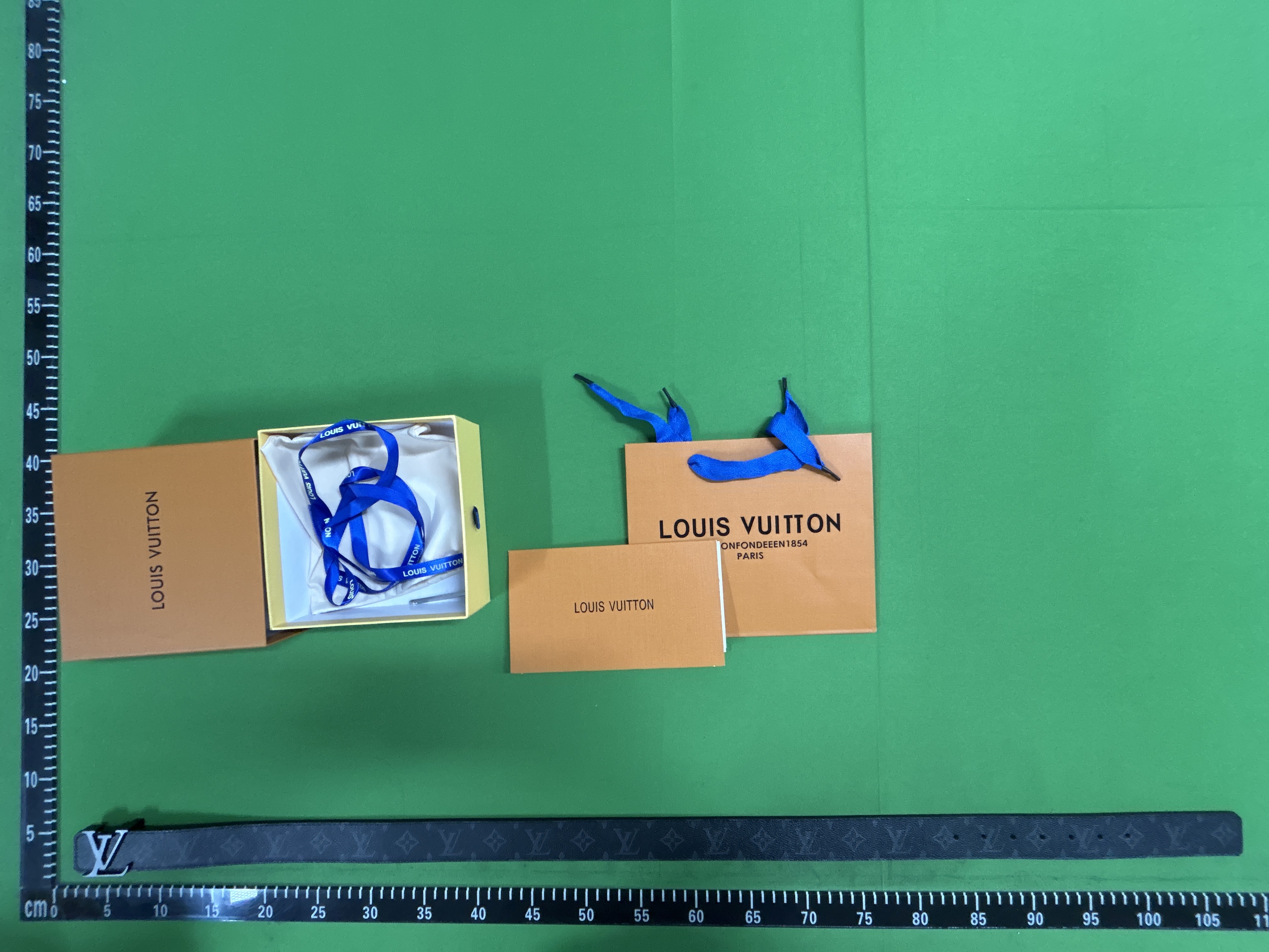 Louis Vuitton Belt (+40 Styles)