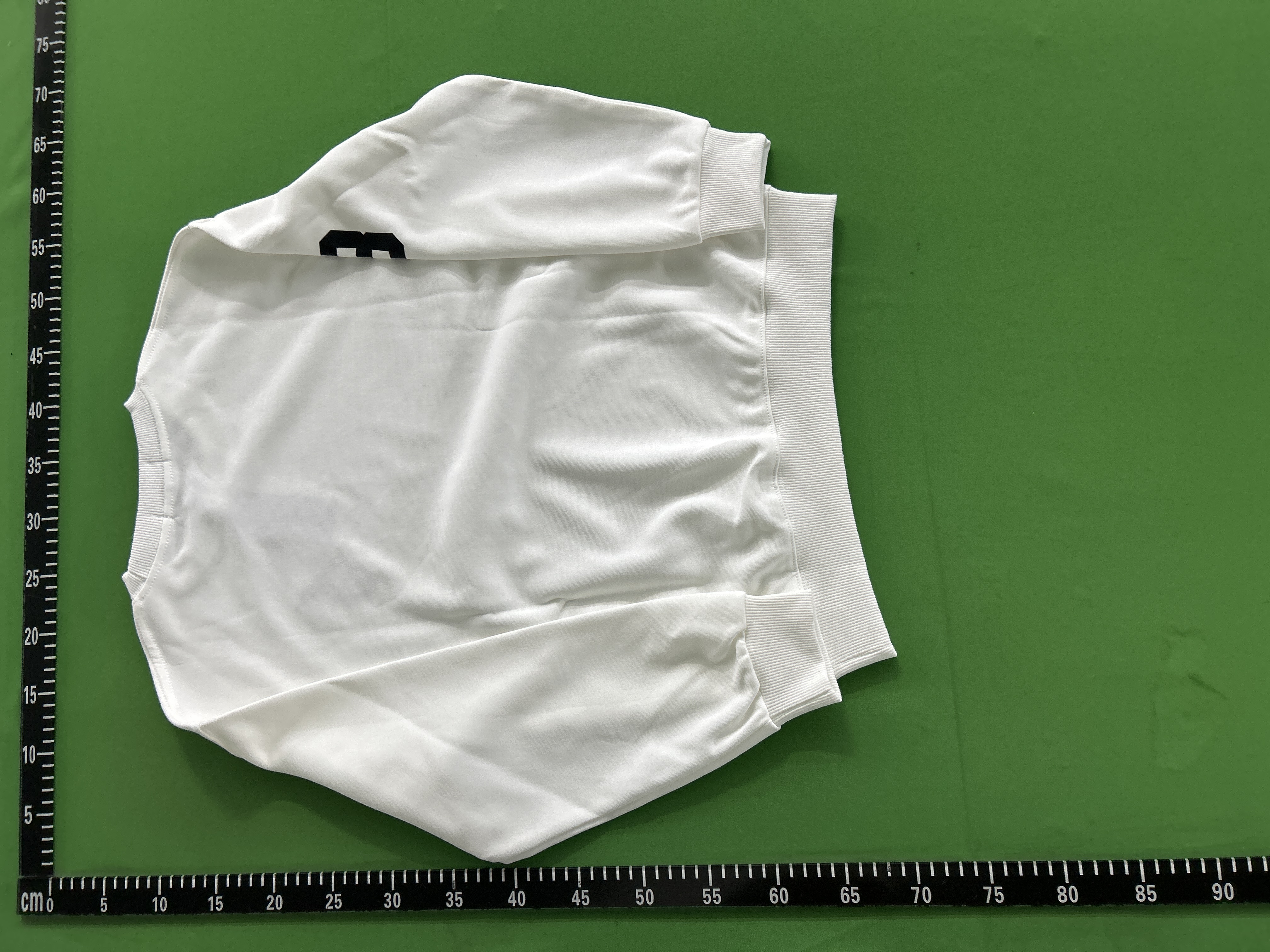 Ralph Lauren Polo Hoodie BIG LOGO