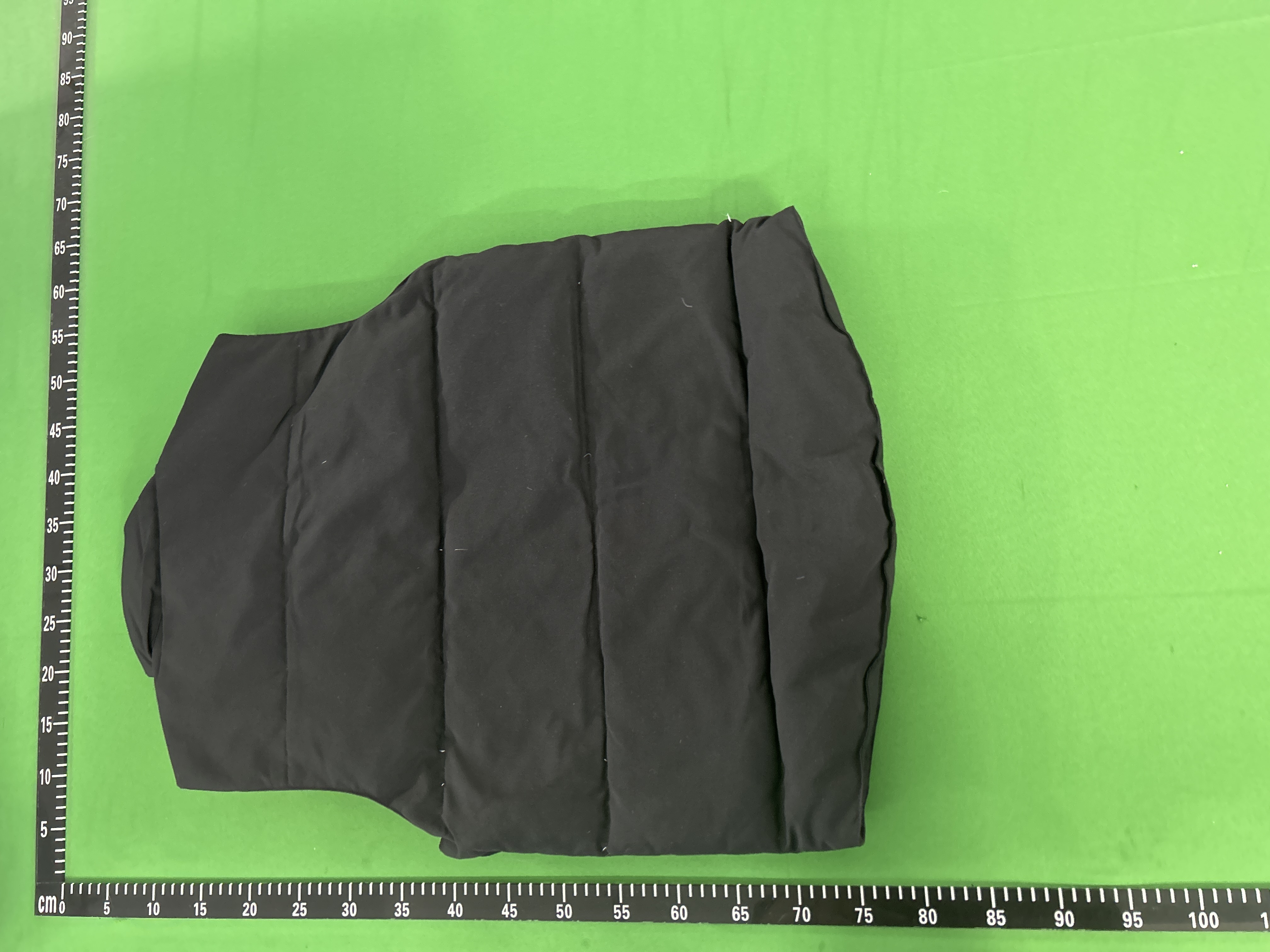 Canada Goose Vest