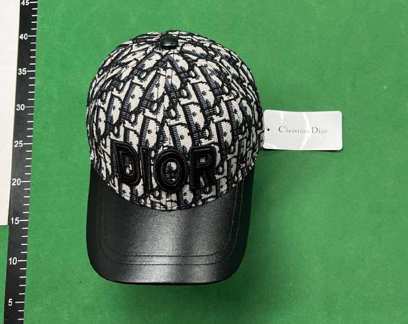 Dior hat  (+10 styles)