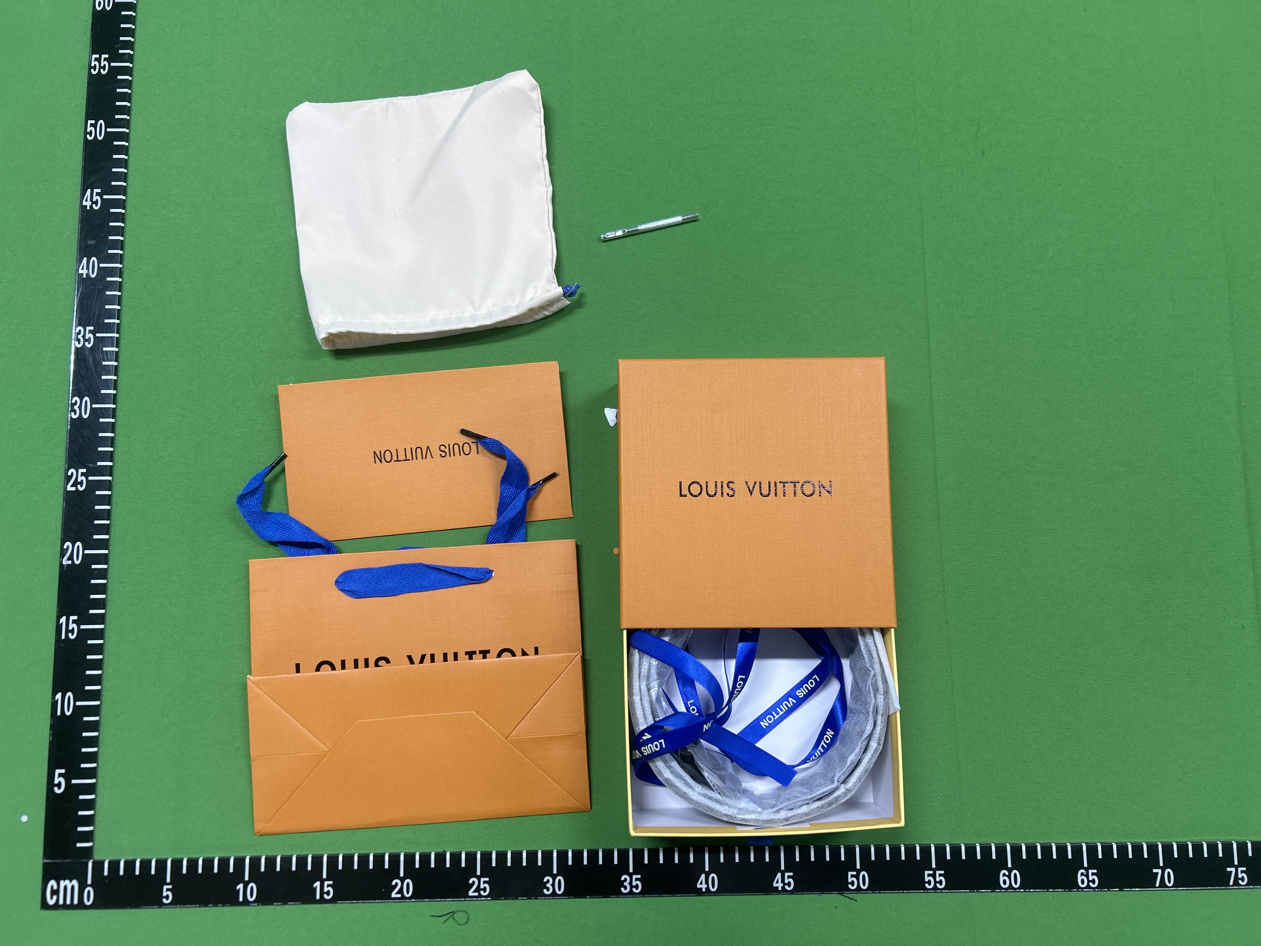 Louis Vuitton Belt (+40 Styles)