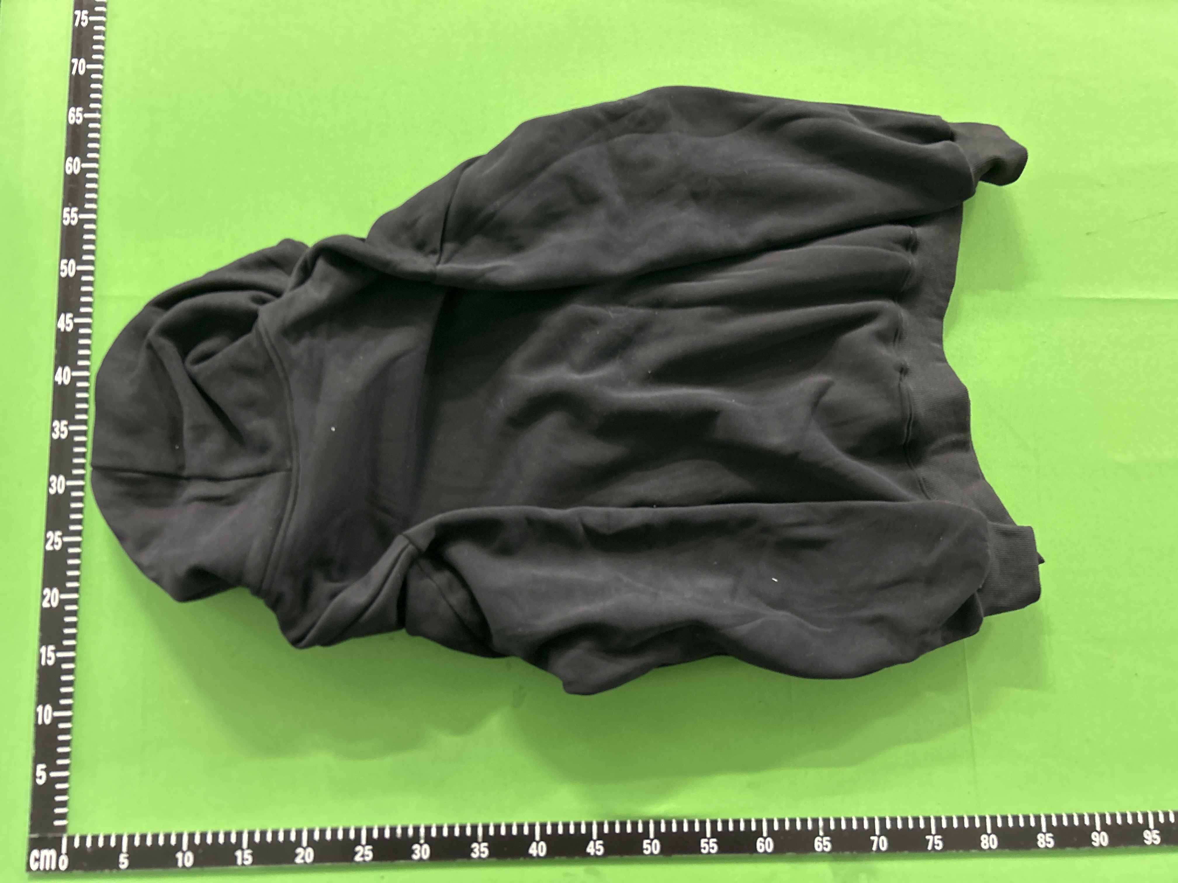 ASRV Hoodie