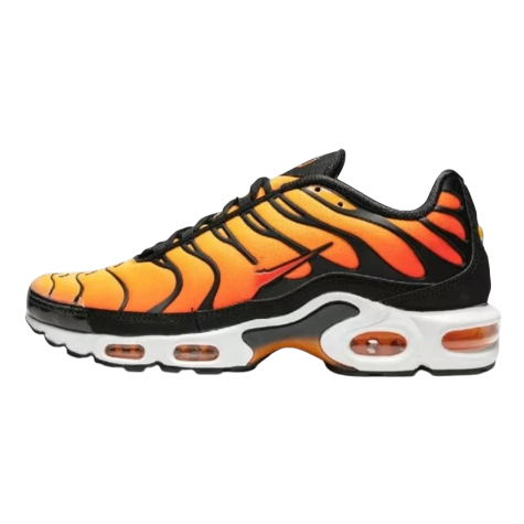 Air max Tn