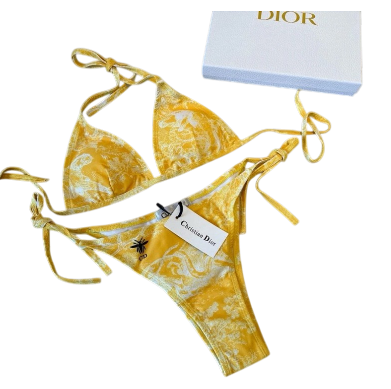 Dior summer set bikini