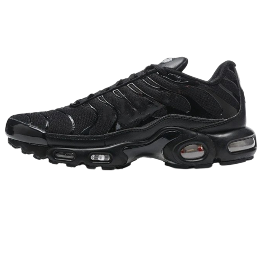 Nike Air Max Tn (+20 Styles)