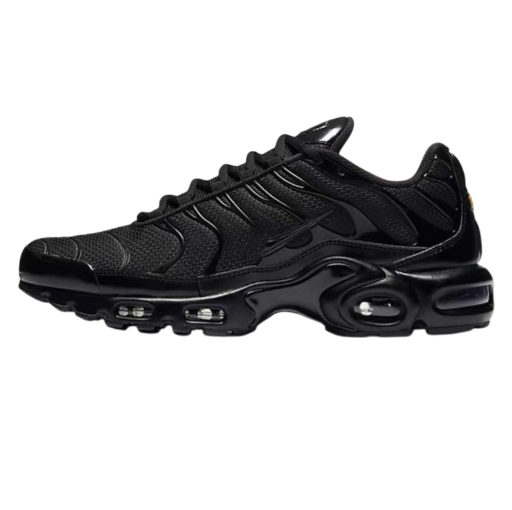 Nike Air Max Plus tn
