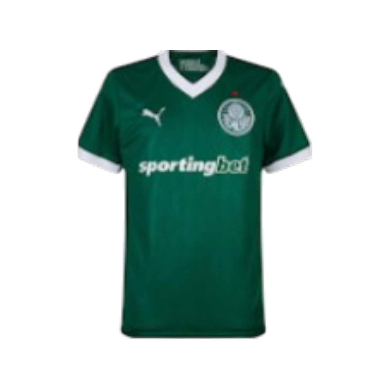 2026 PALMEIRAS JERSEY