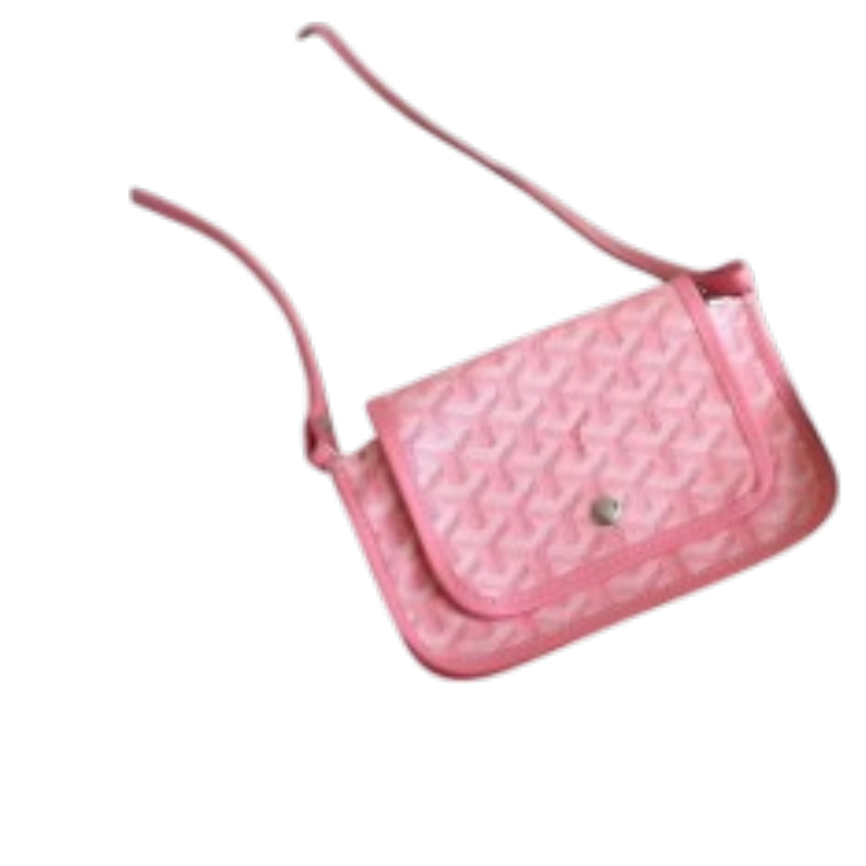 Goyard bag