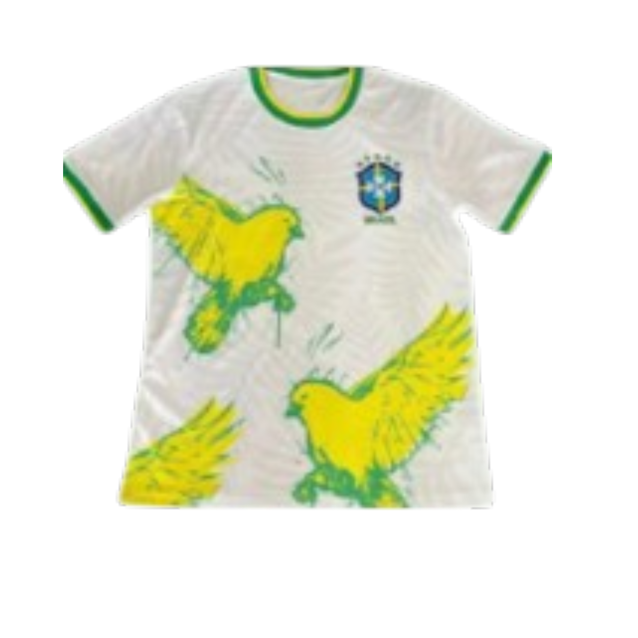 BRAZIL SPECIAL JERSEY