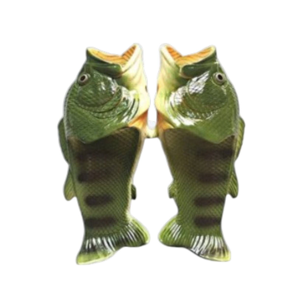 Fish Slides