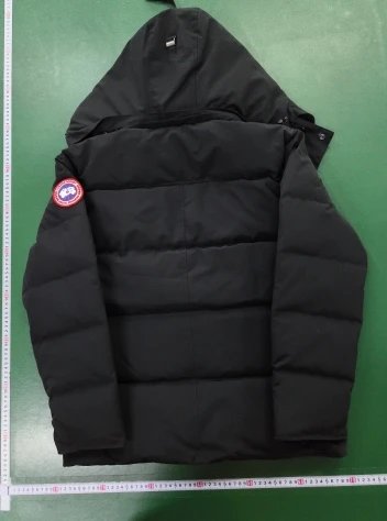 Canda Goose down jacket (+10 Styles)