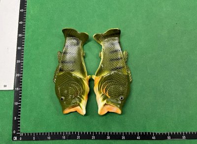Fish Slide
