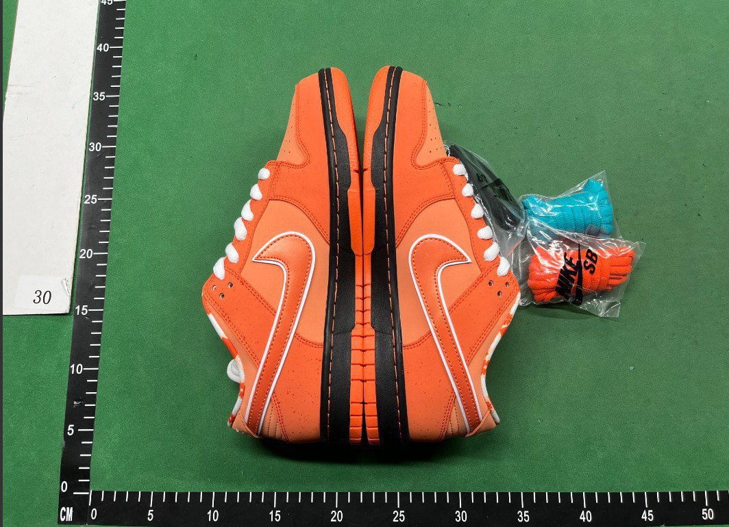 Nike sb dunk low (+other styles) brand new