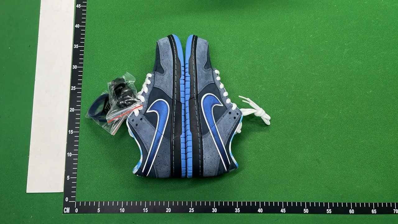 Nike sb dunk low (+other styles) brand new