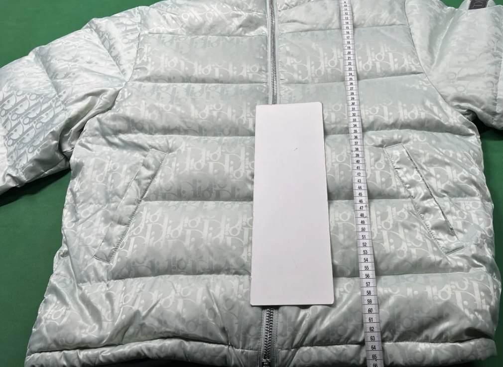 Dior Oblique Jacket down