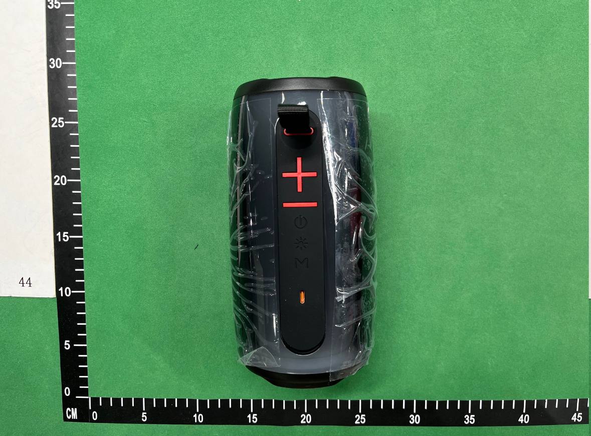 JBL Pulse 6