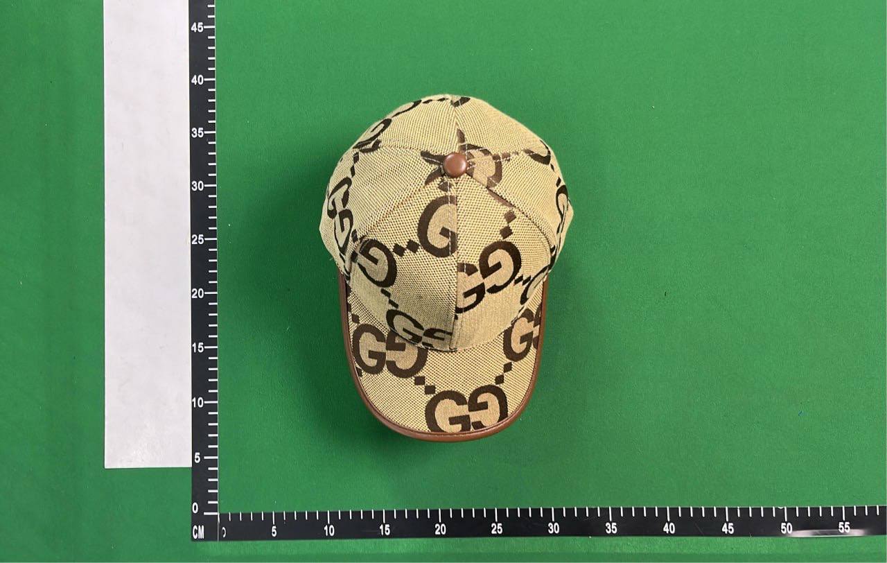 Gucci cap (+5 styles)