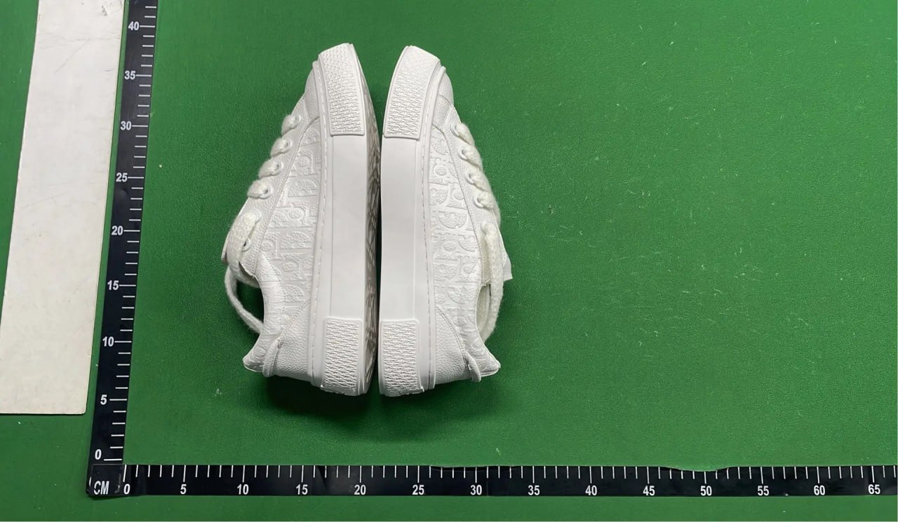 DIOR B33