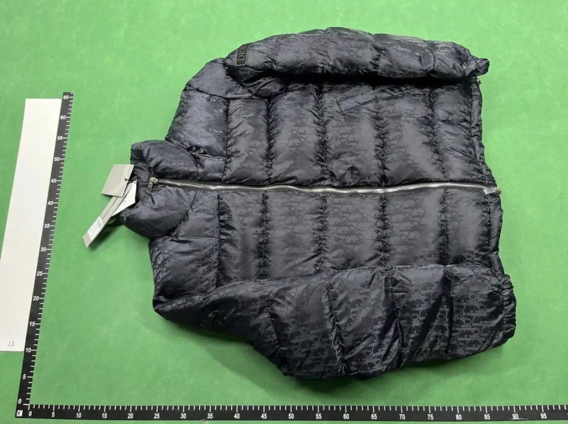 Dior Oblique Jacket down