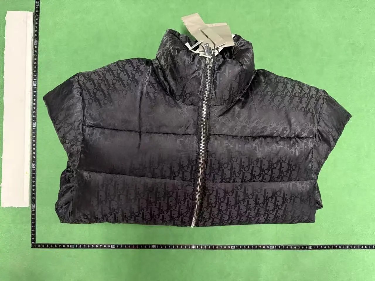 Dior Oblique Jacket down