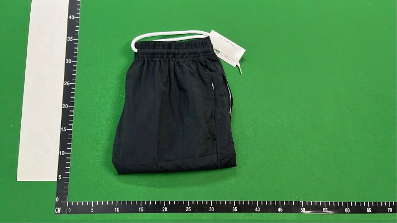 Lacoste swim shorts