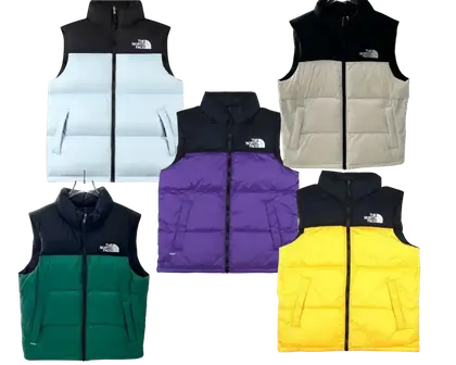 The North Face  puffer  Vest（1996）